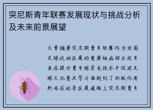 突尼斯青年联赛发展现状与挑战分析及未来前景展望